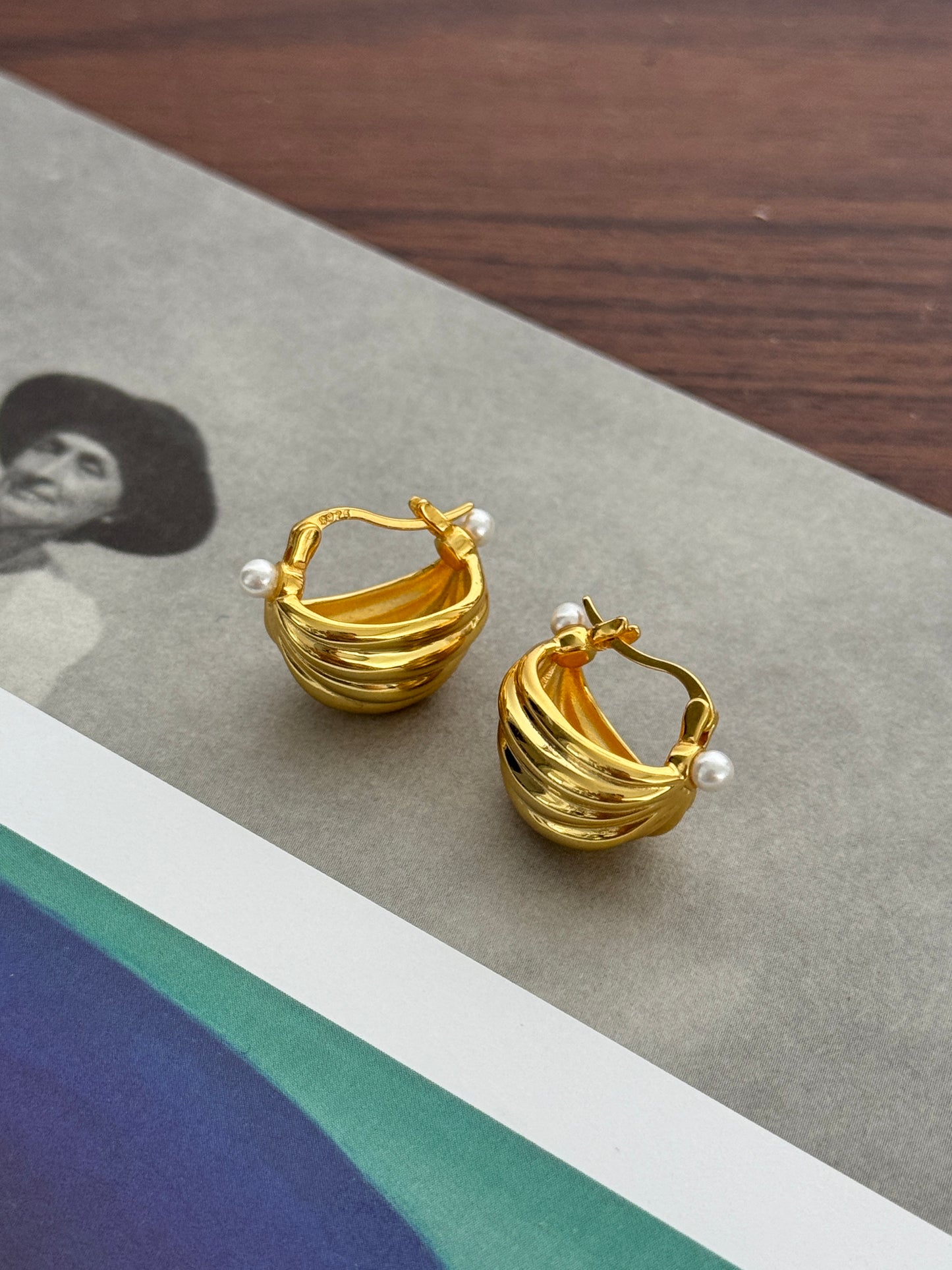 Earrings